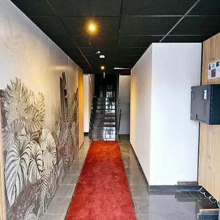 Hira Boarding דינגולפינג