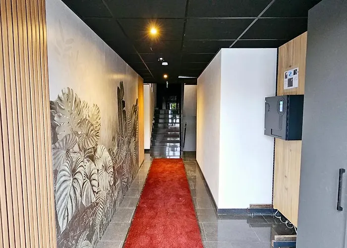 Hira Boarding דינגולפינג